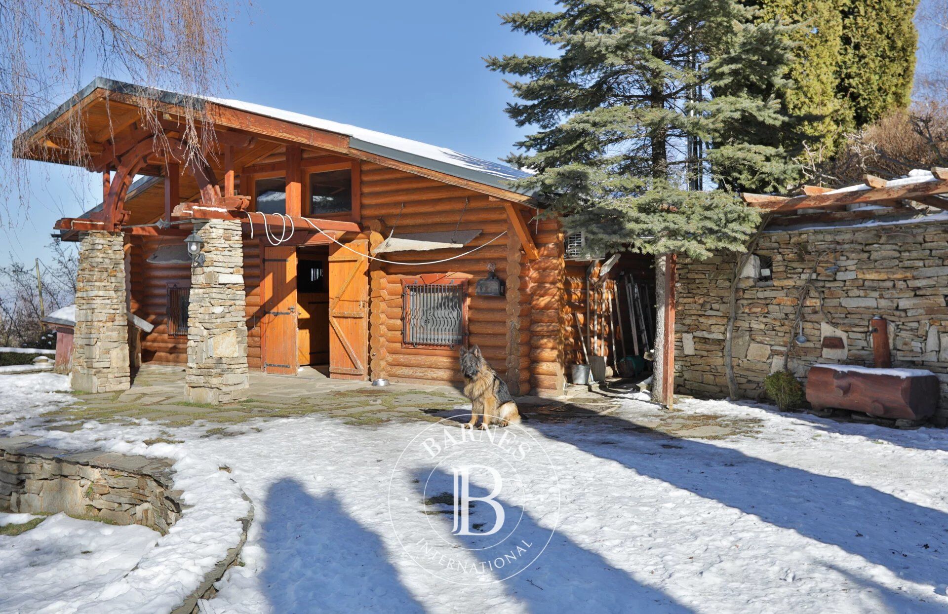 Ev Jeleznica - picture 20