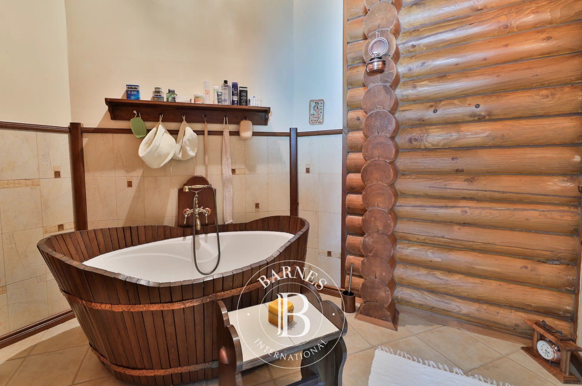 Ev Jeleznica - picture 13