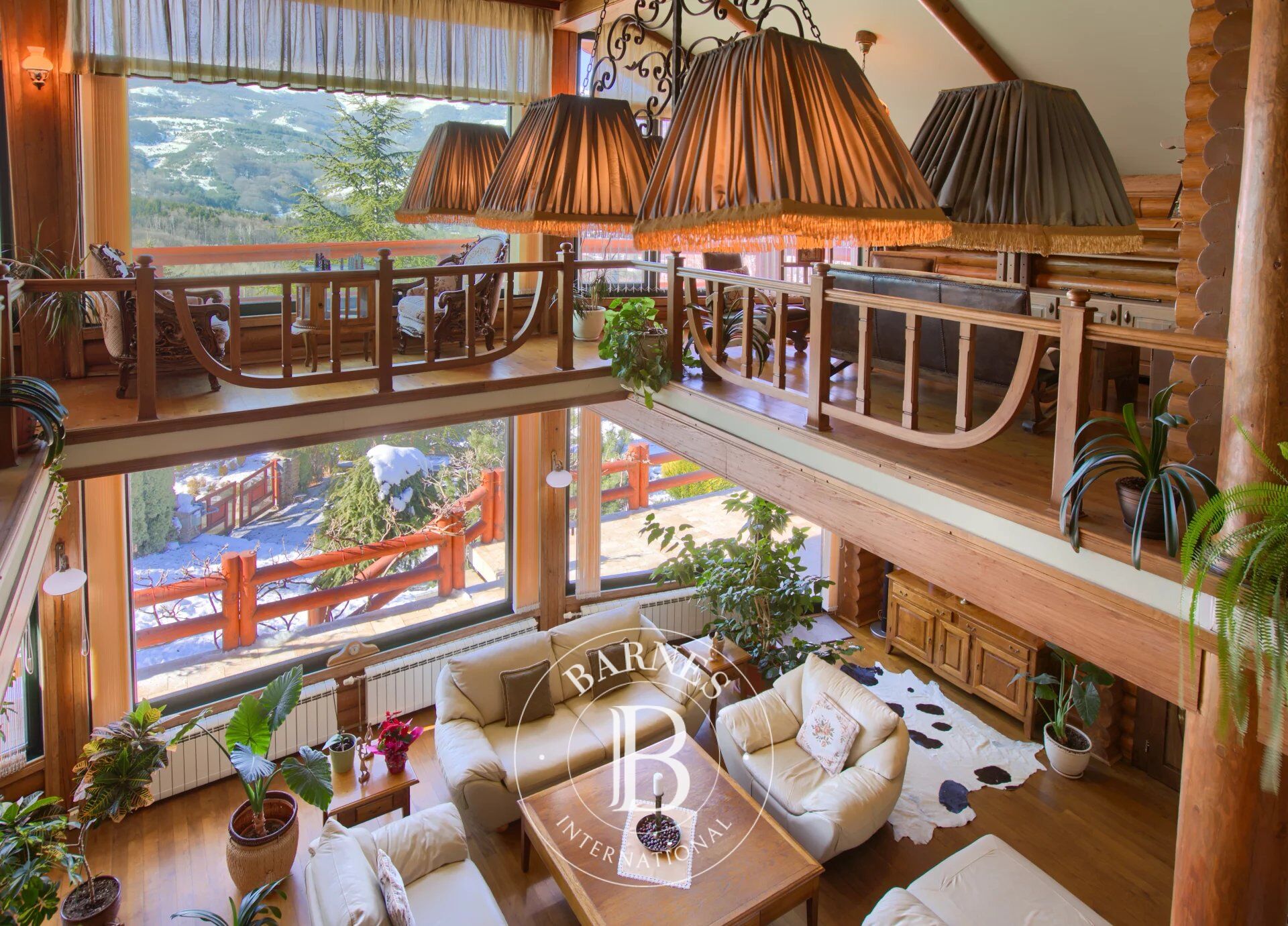 Ev Jeleznica - picture 4