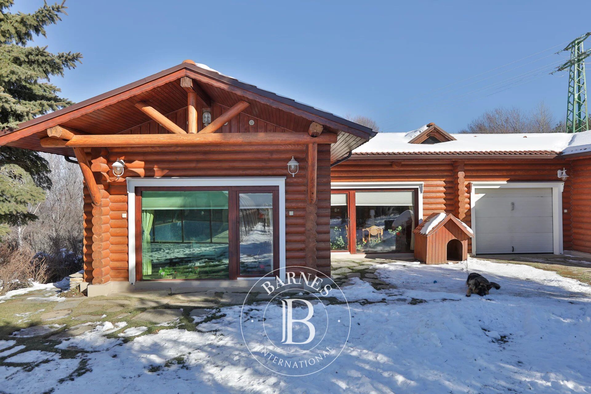 Ev Jeleznica - picture 17