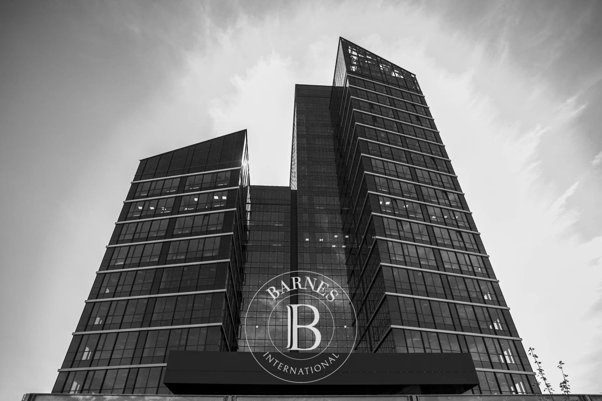 Oficina Sofia - picture 1