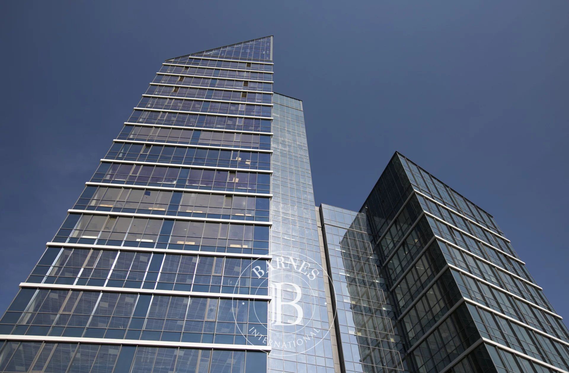 Oficina Sofia - picture 2