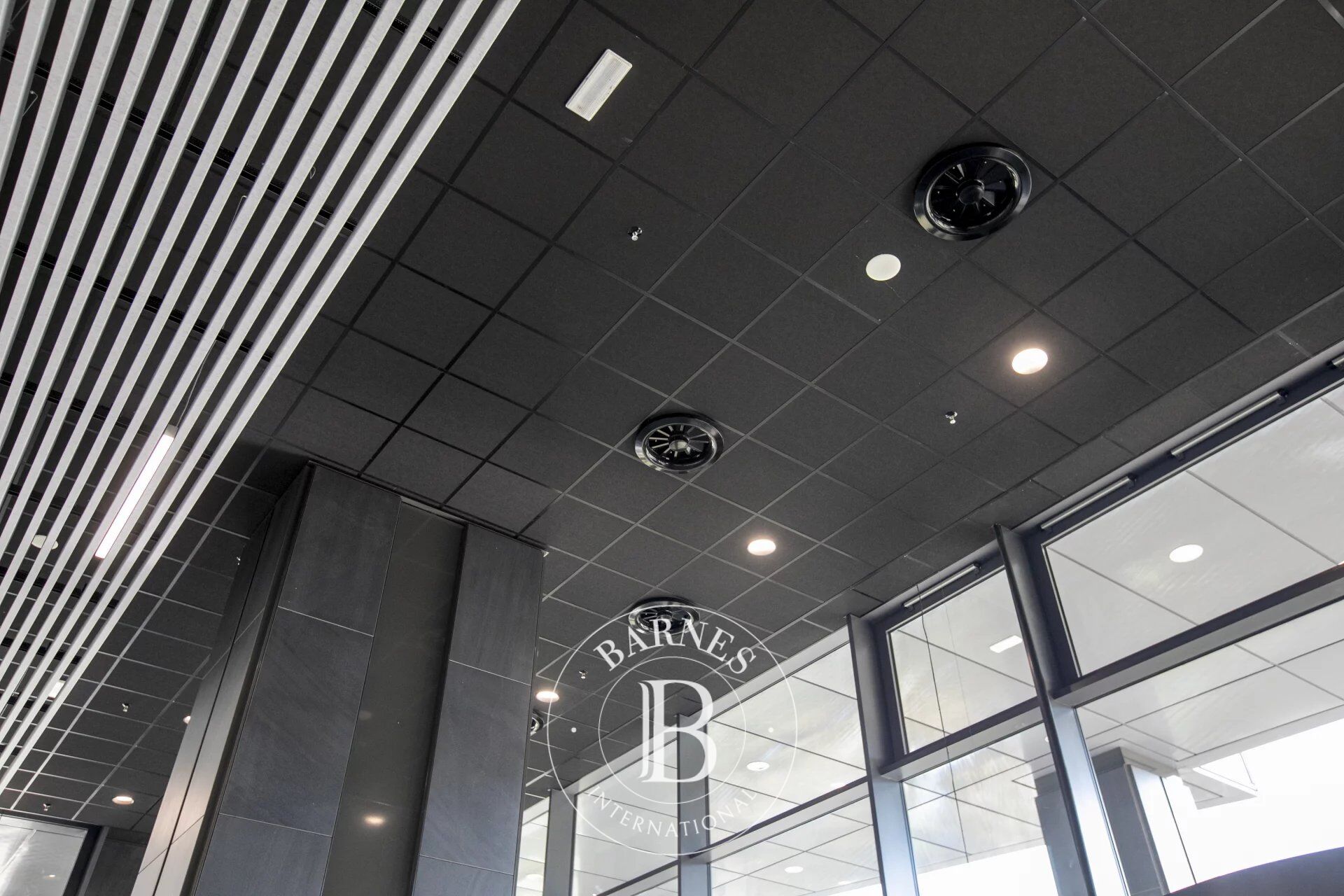 Oficina Sofia - picture 3