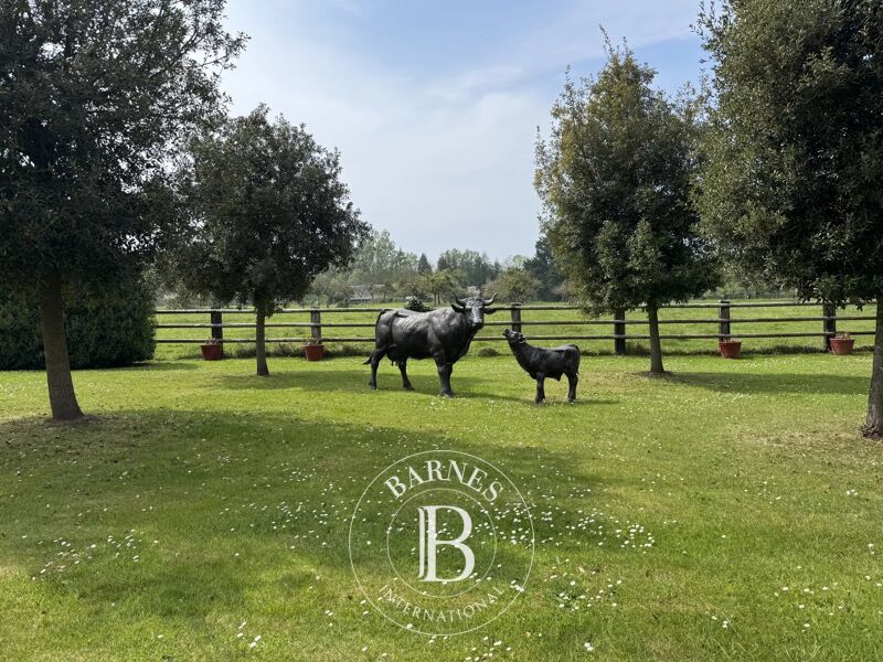 For Sale, House Blonville-sur-Mer - picture 3