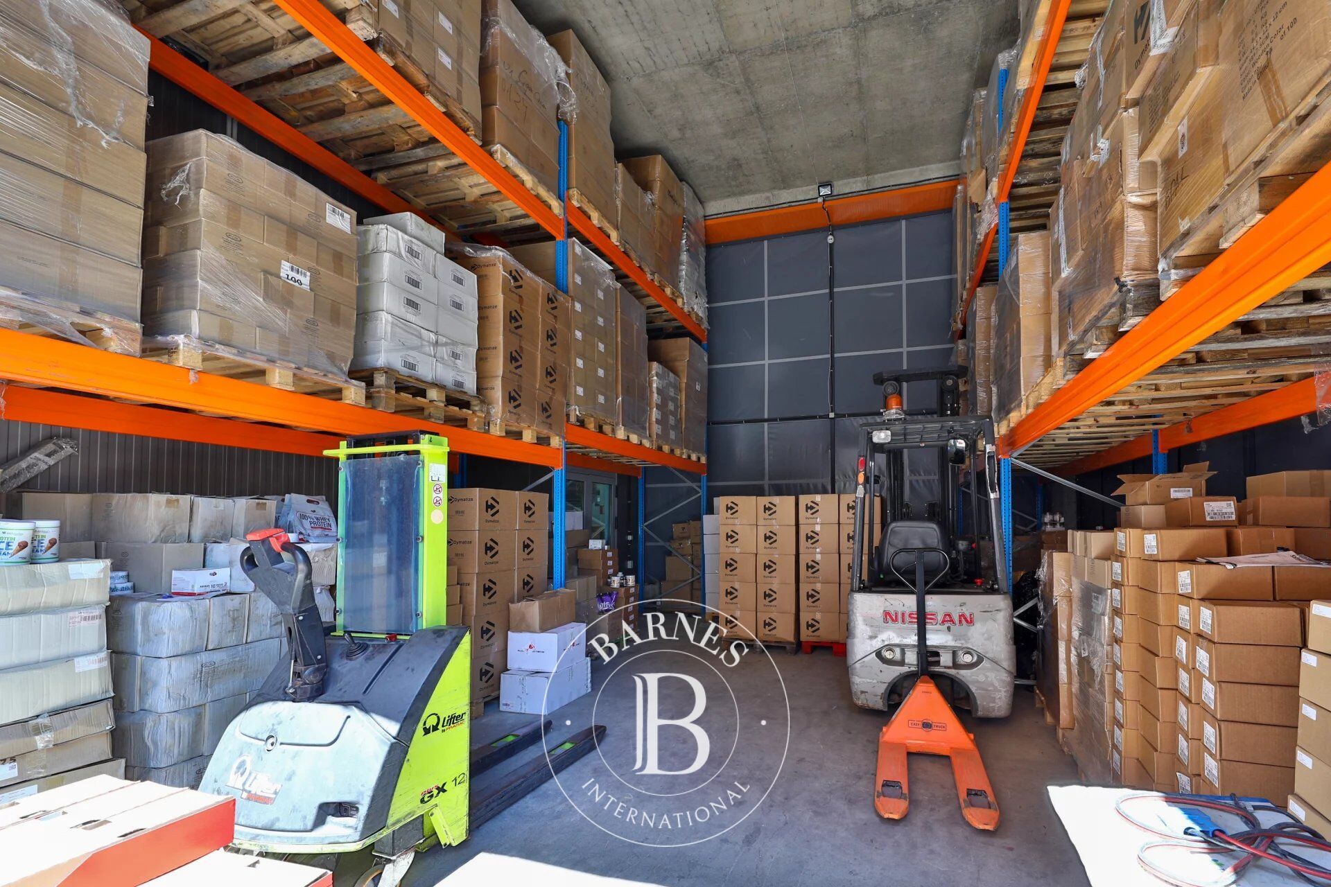 Bina Sofia - picture 15