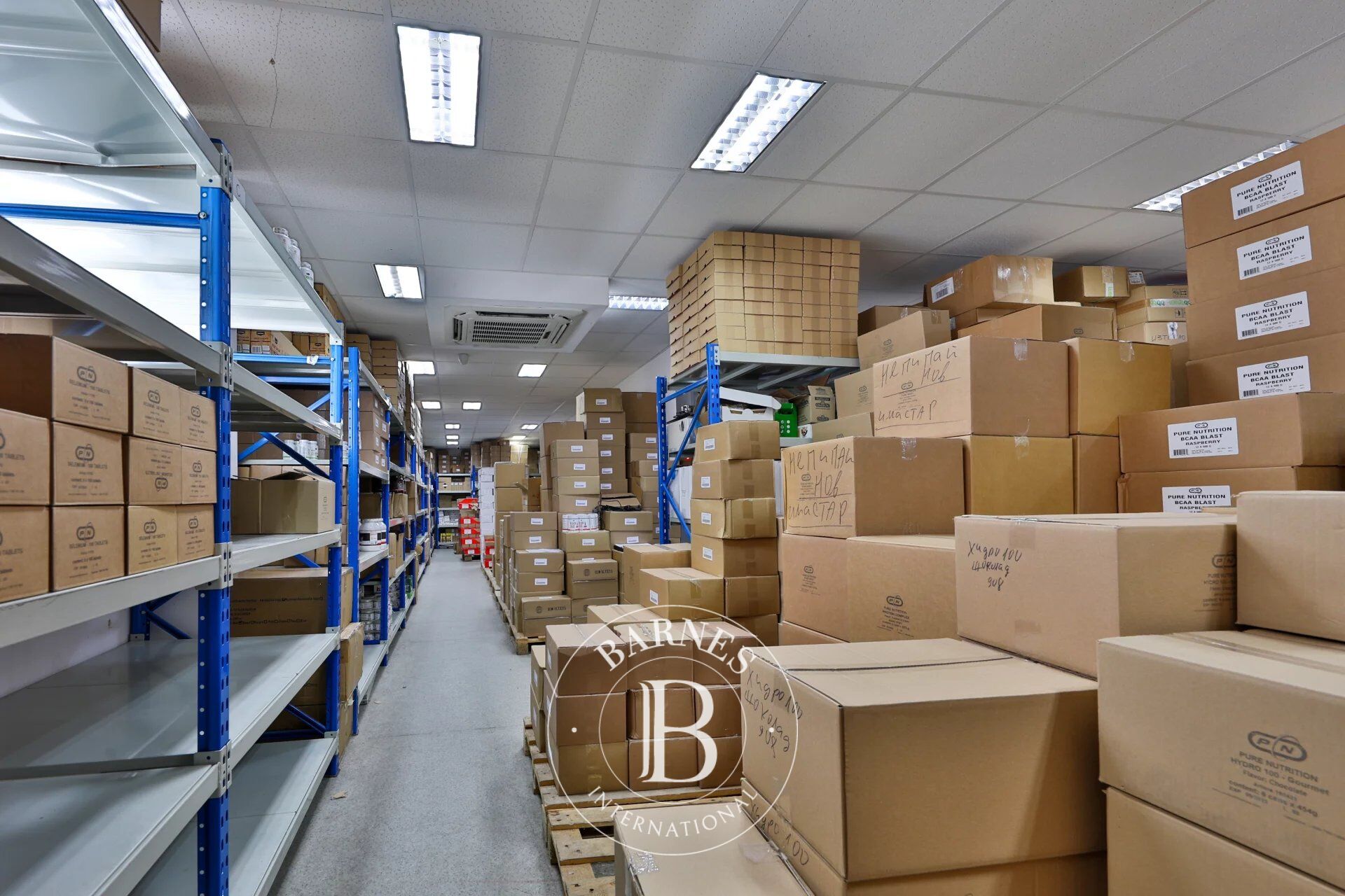 Bina Sofia - picture 16