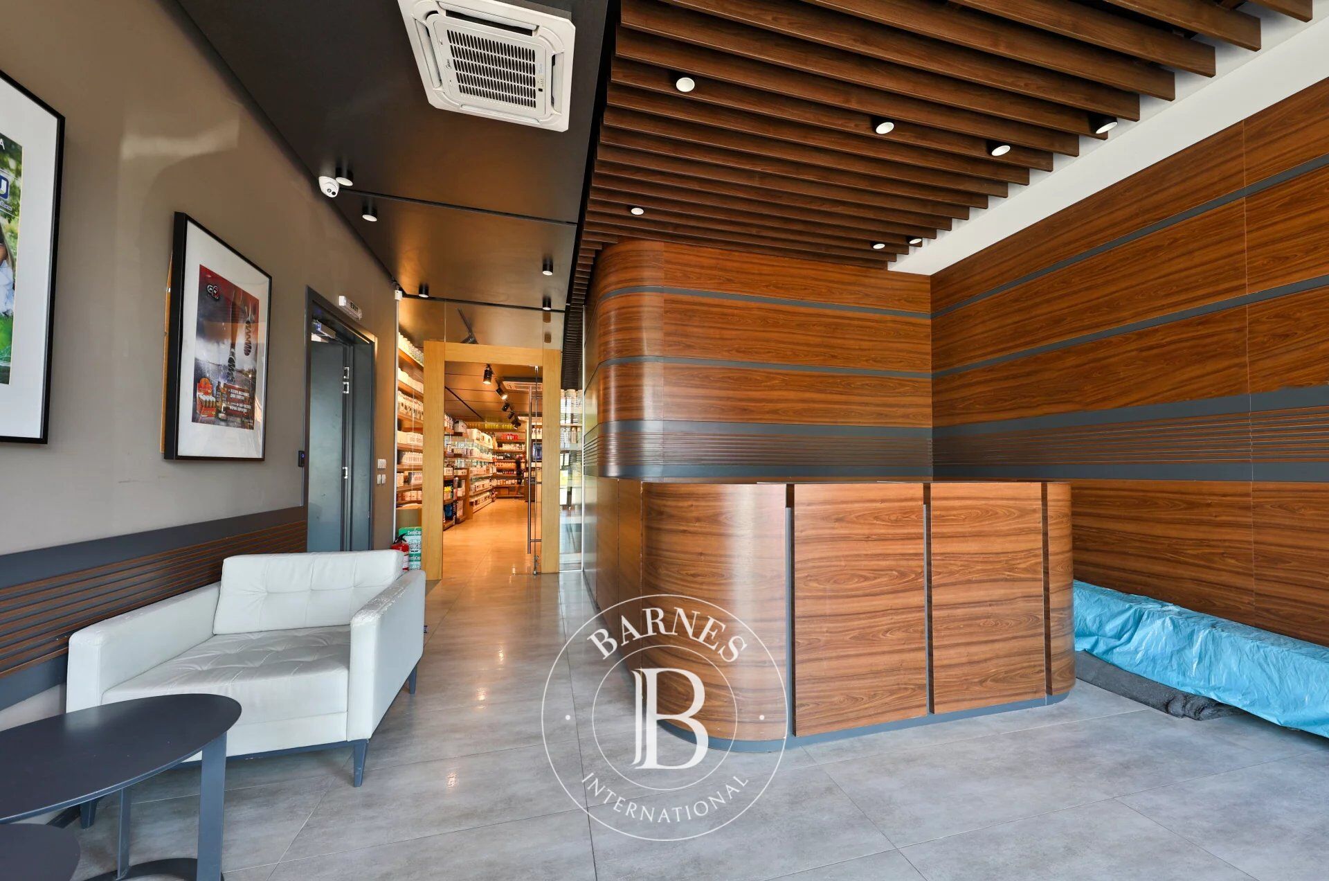 Bina Sofia - picture 4