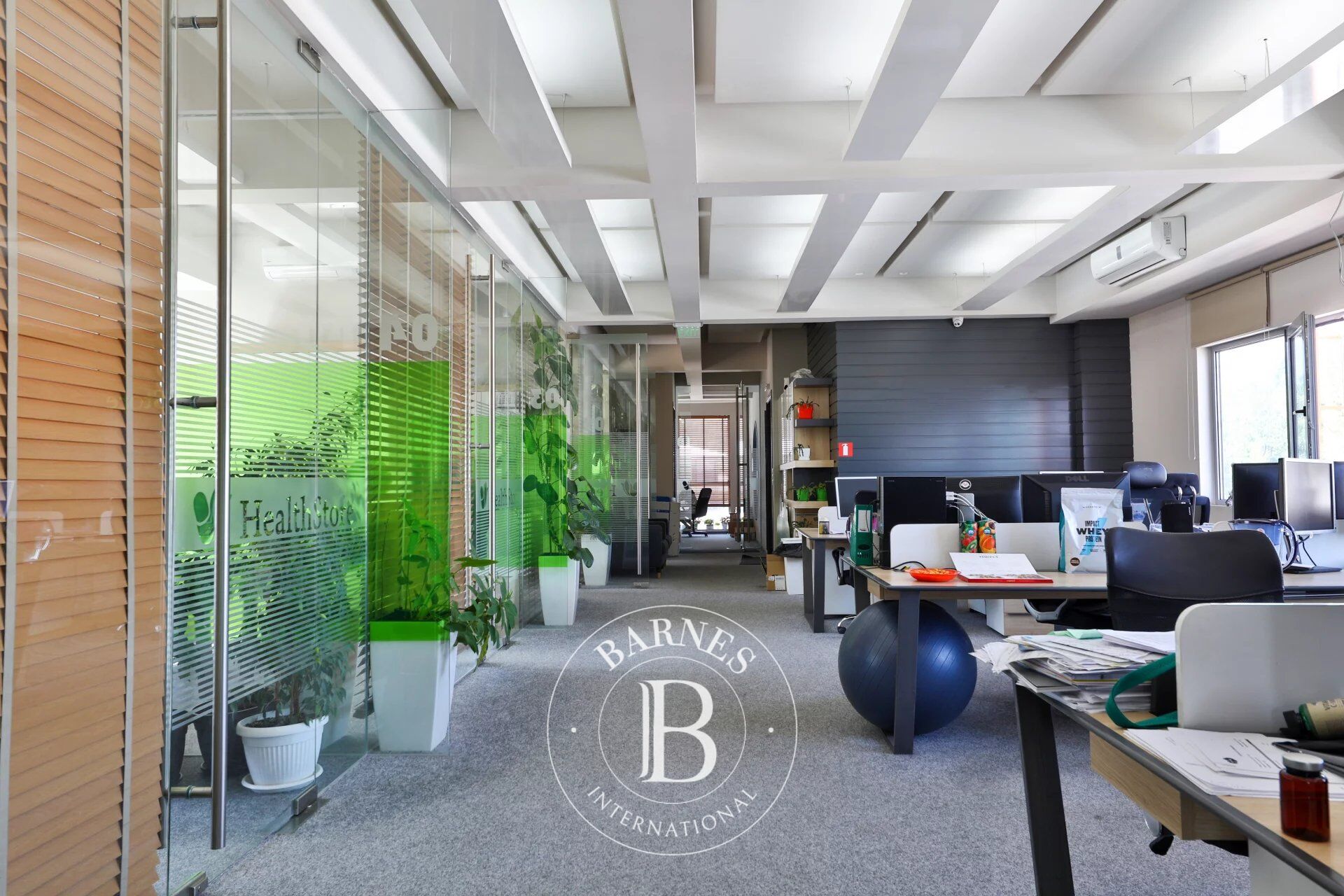 Bina Sofia - picture 5