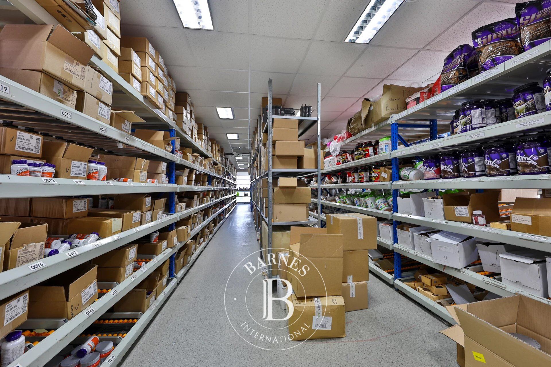 Bina Sofia - picture 12