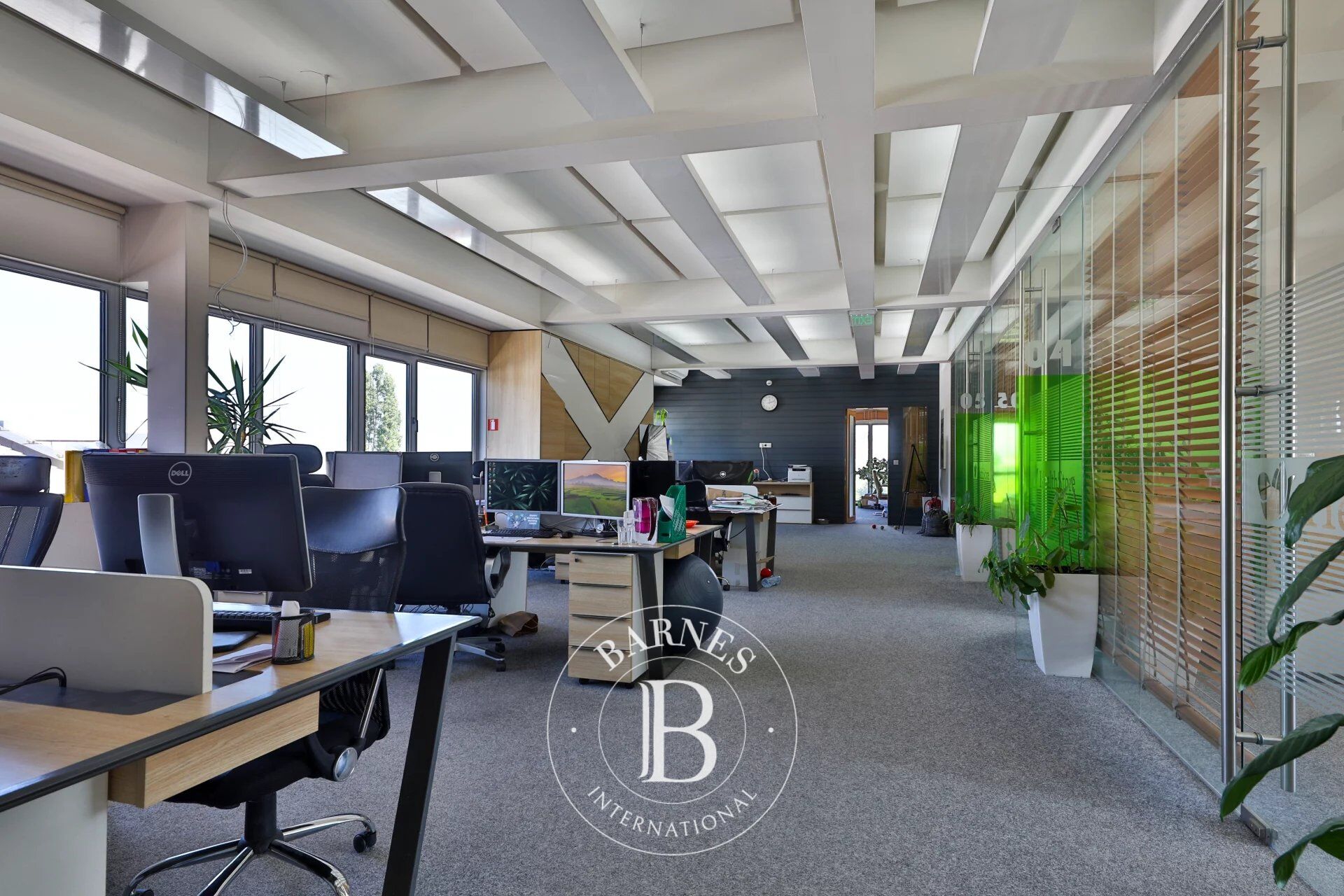 Bina Sofia - picture 8