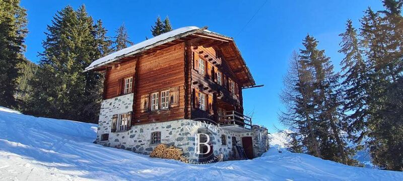 For Sale, Chalet Verbier - picture 1