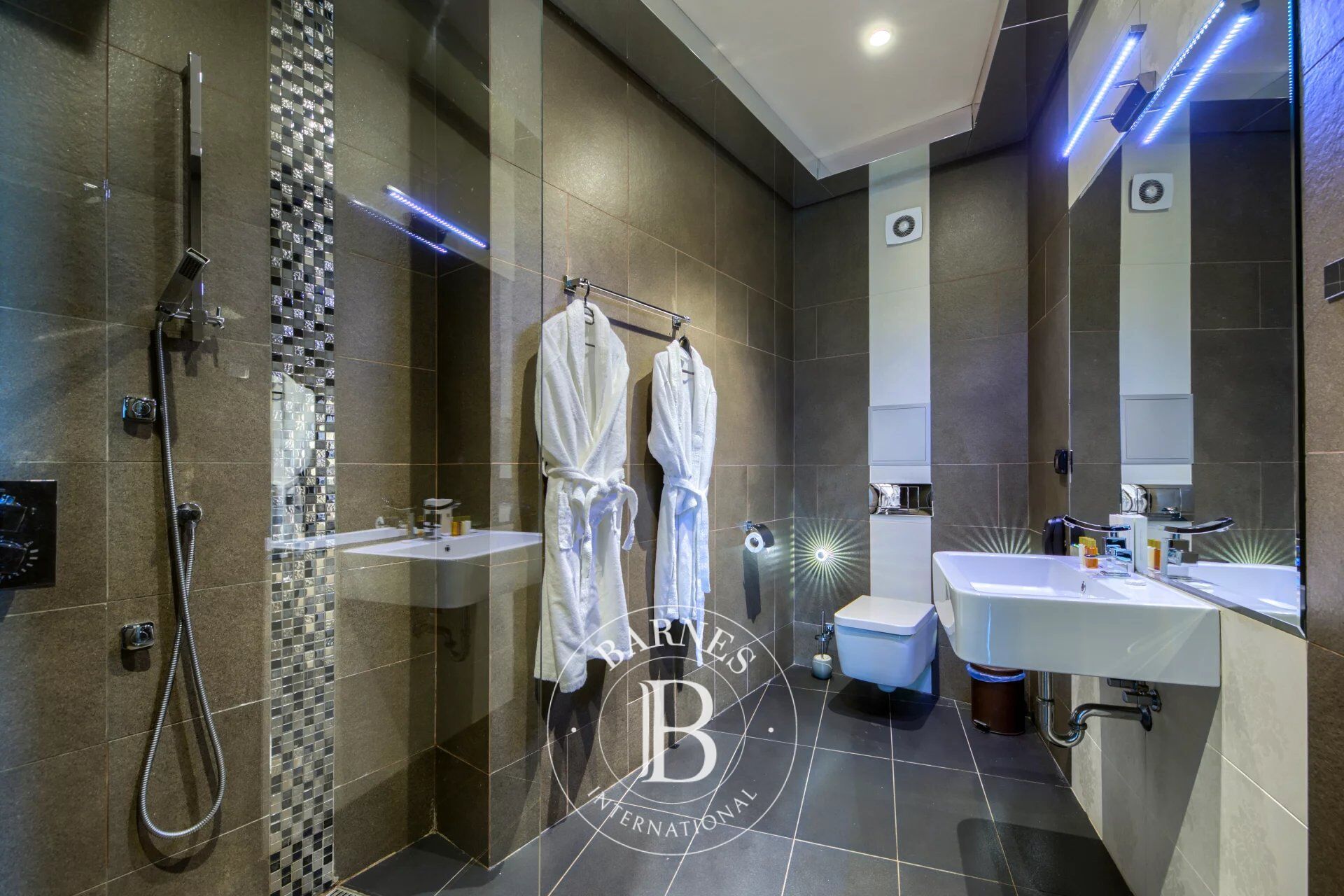 Daire Sofia - picture 14