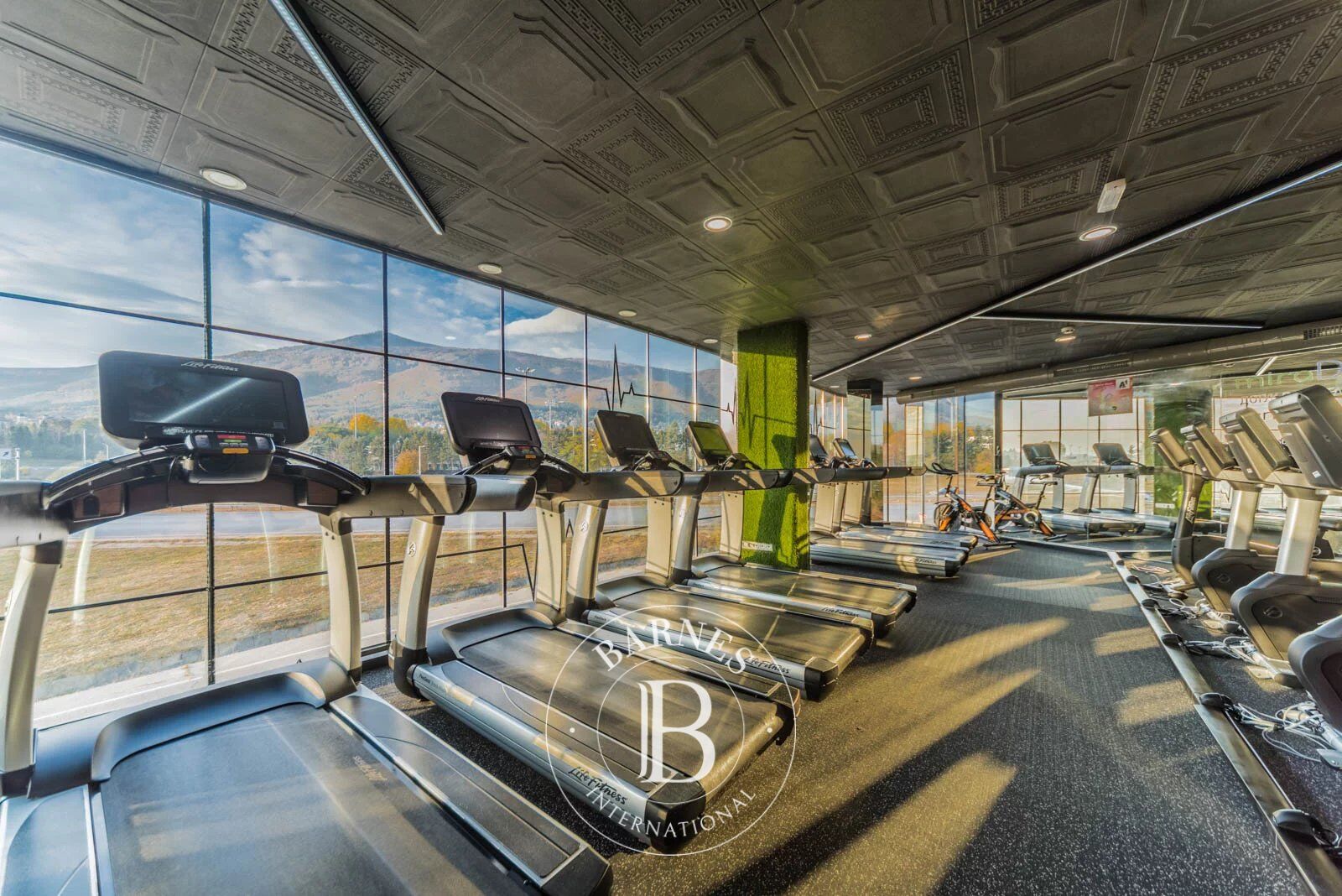 Daire Sofia - picture 19