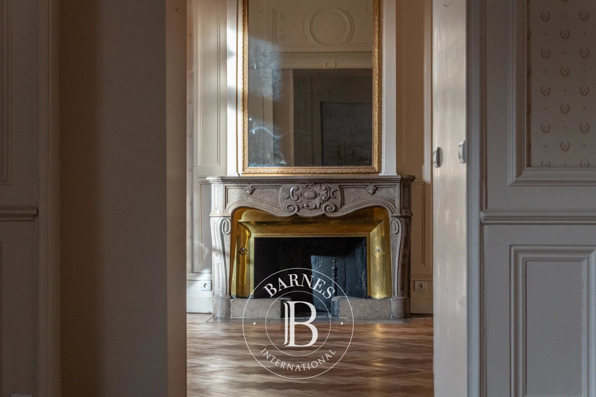 Rochetaillé-sur-Saône - Appartement de 256,36 m² - 4 chambres - terrasse d'agrément - picture 1