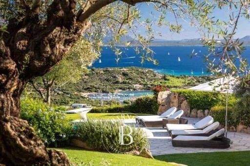 Villa Porto Cervo - picture 2