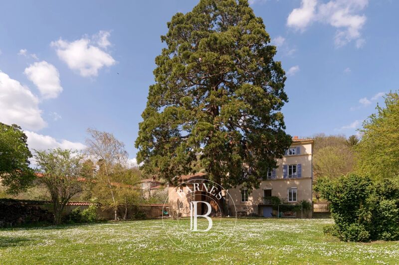 À vendre, Propriété Chessy - picture 3