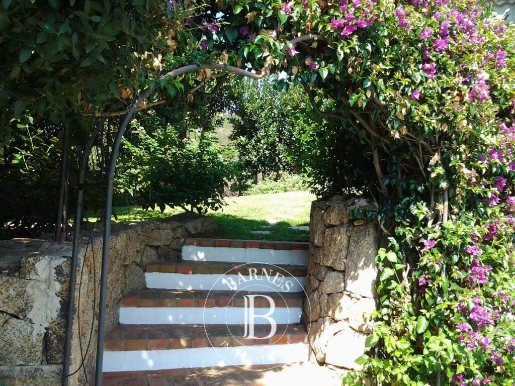 Villa Porto Cervo - picture 3