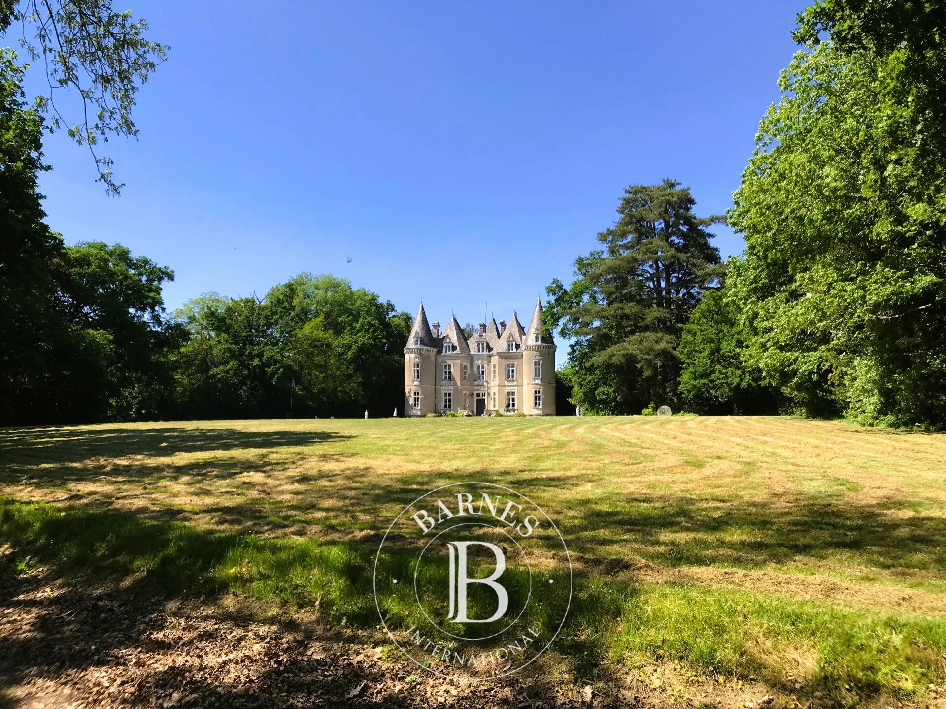 At the gates of Vitré - Castle of 12200 m² - Land of more than 5 ha - picture 2