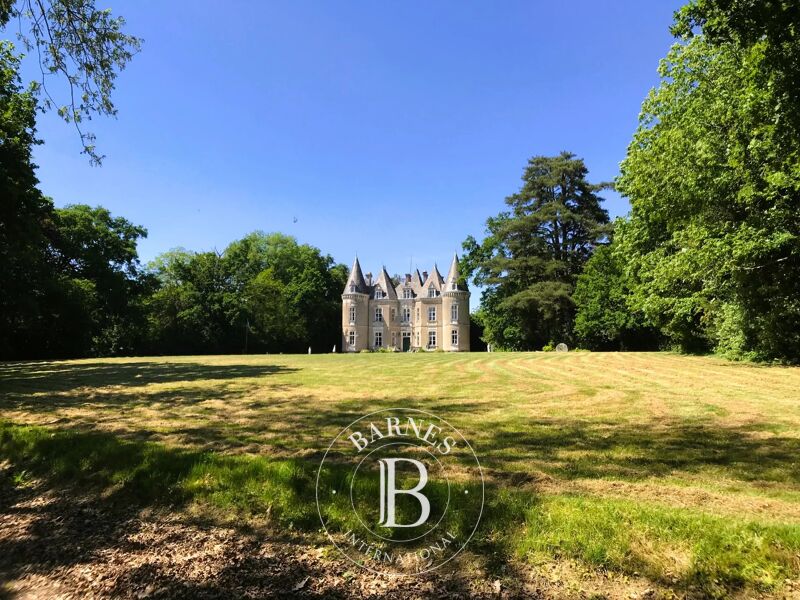 For Sale, Castle Cornillé - picture 2