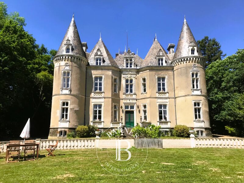 For Sale, Castle Cornillé - picture 1