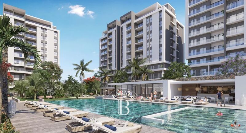 Obra Nueva Moka - picture 1