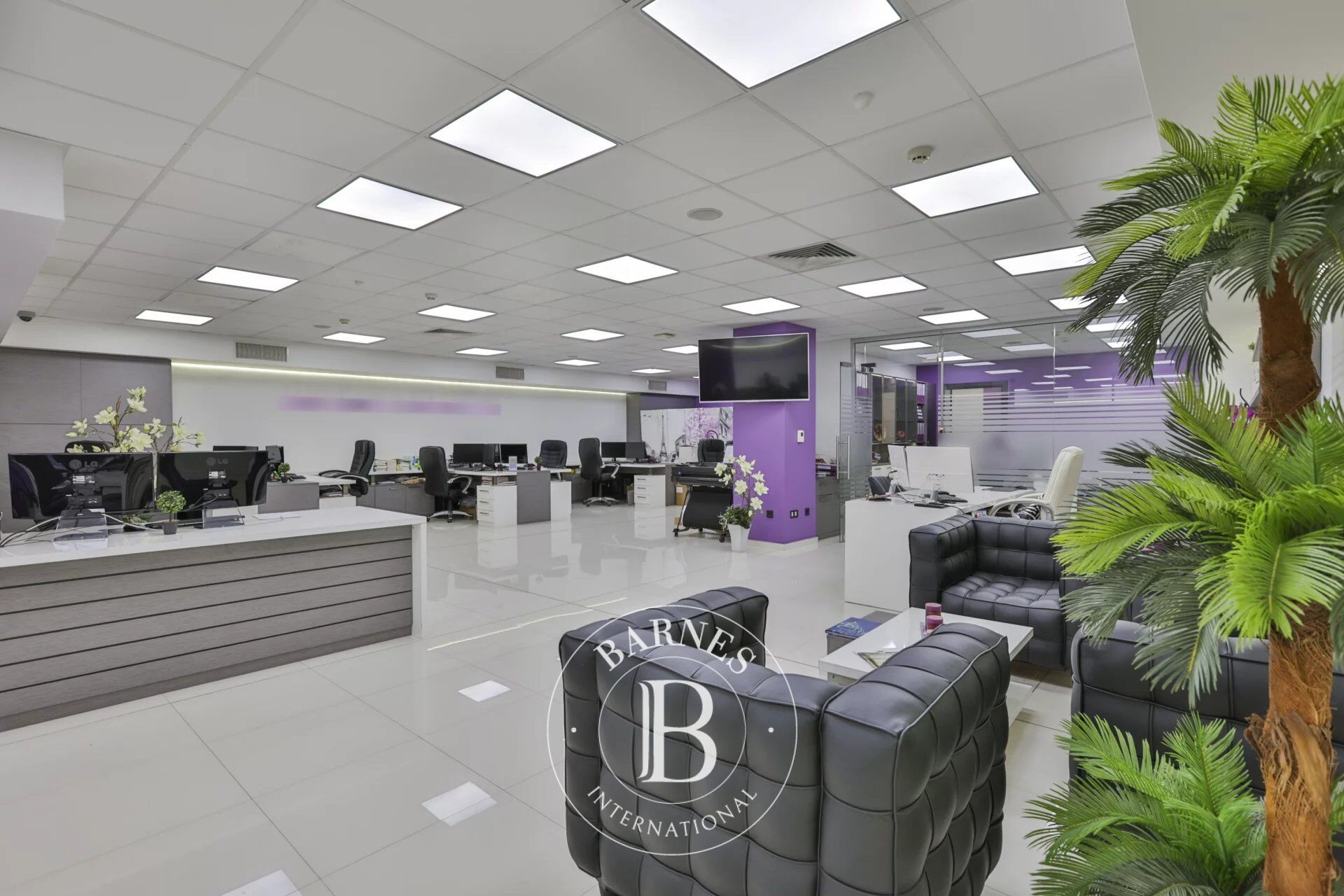 Oficina Sofia - picture 1