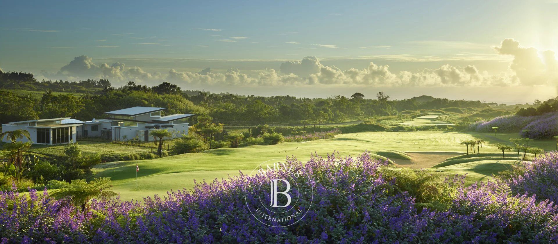 Terreno residencial  Bois Chéri - picture 2