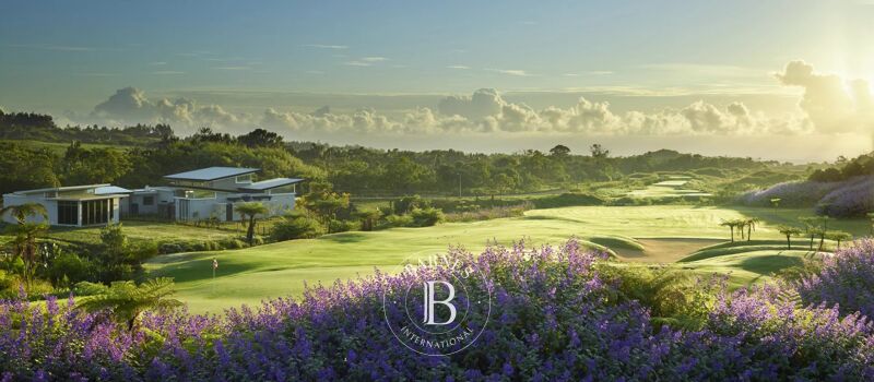 Obra Nueva Bois Chéri - picture 2