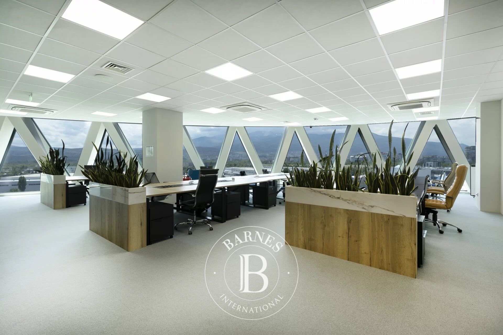 Ufficio Sofia - picture 2