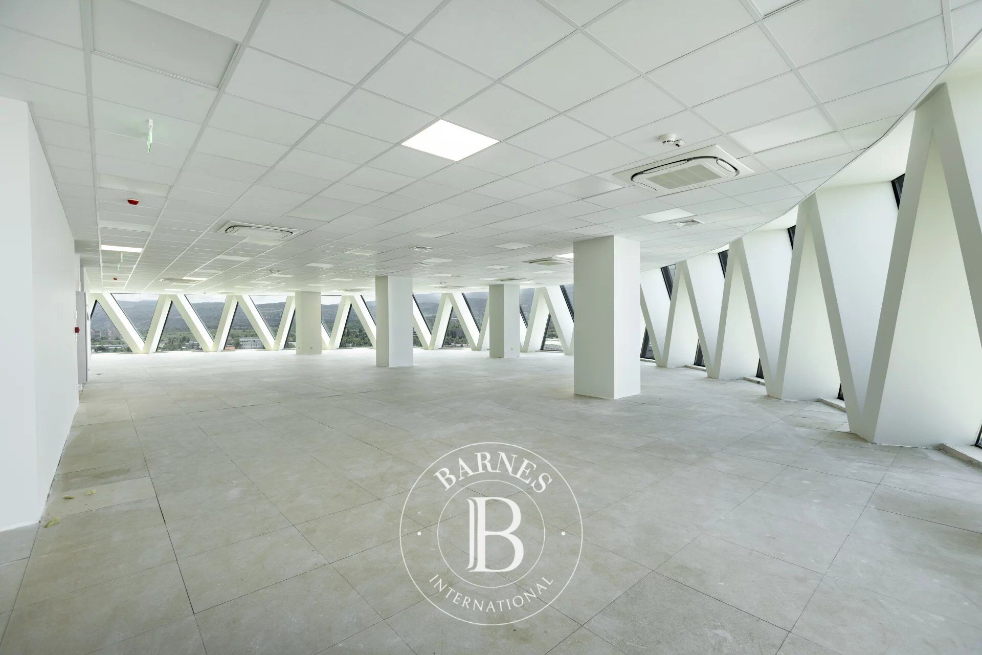 Oficina Sofia - picture 2