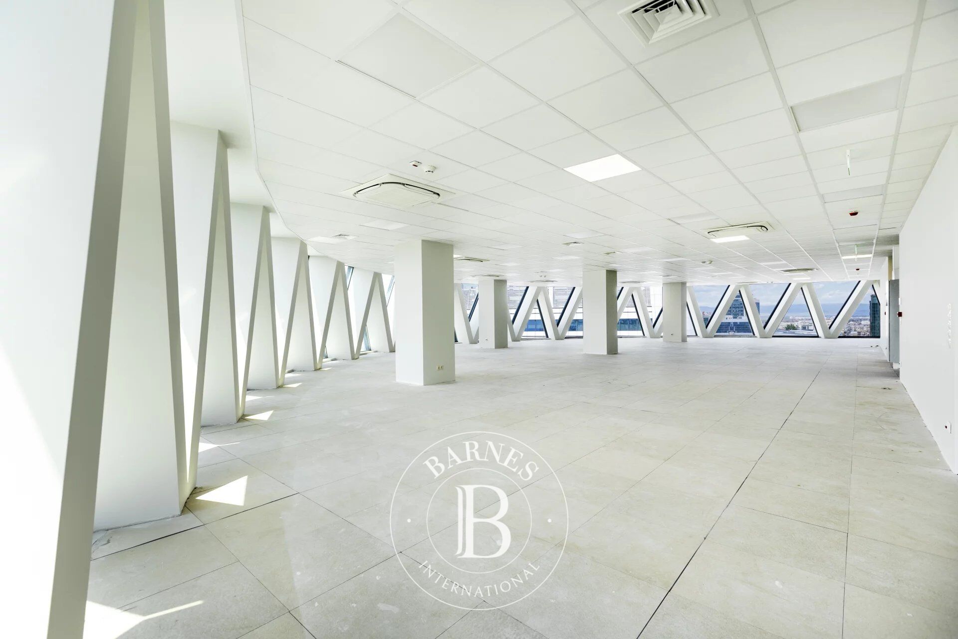 Oficina Sofia - picture 3