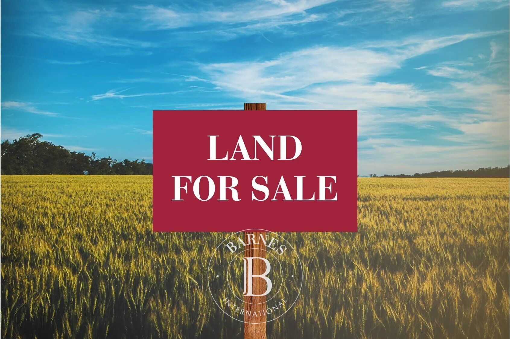 POSTE LAFAYETTE - Terrain en bord de mer - 5150 m² - picture 3