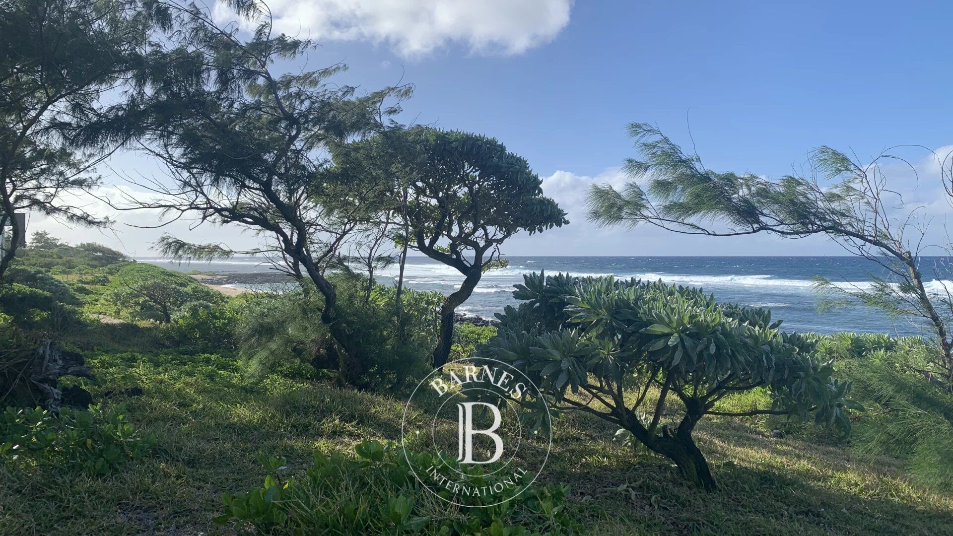 POSTE LAFAYETTE - Terrain en bord de mer - 5150 m² - picture 2