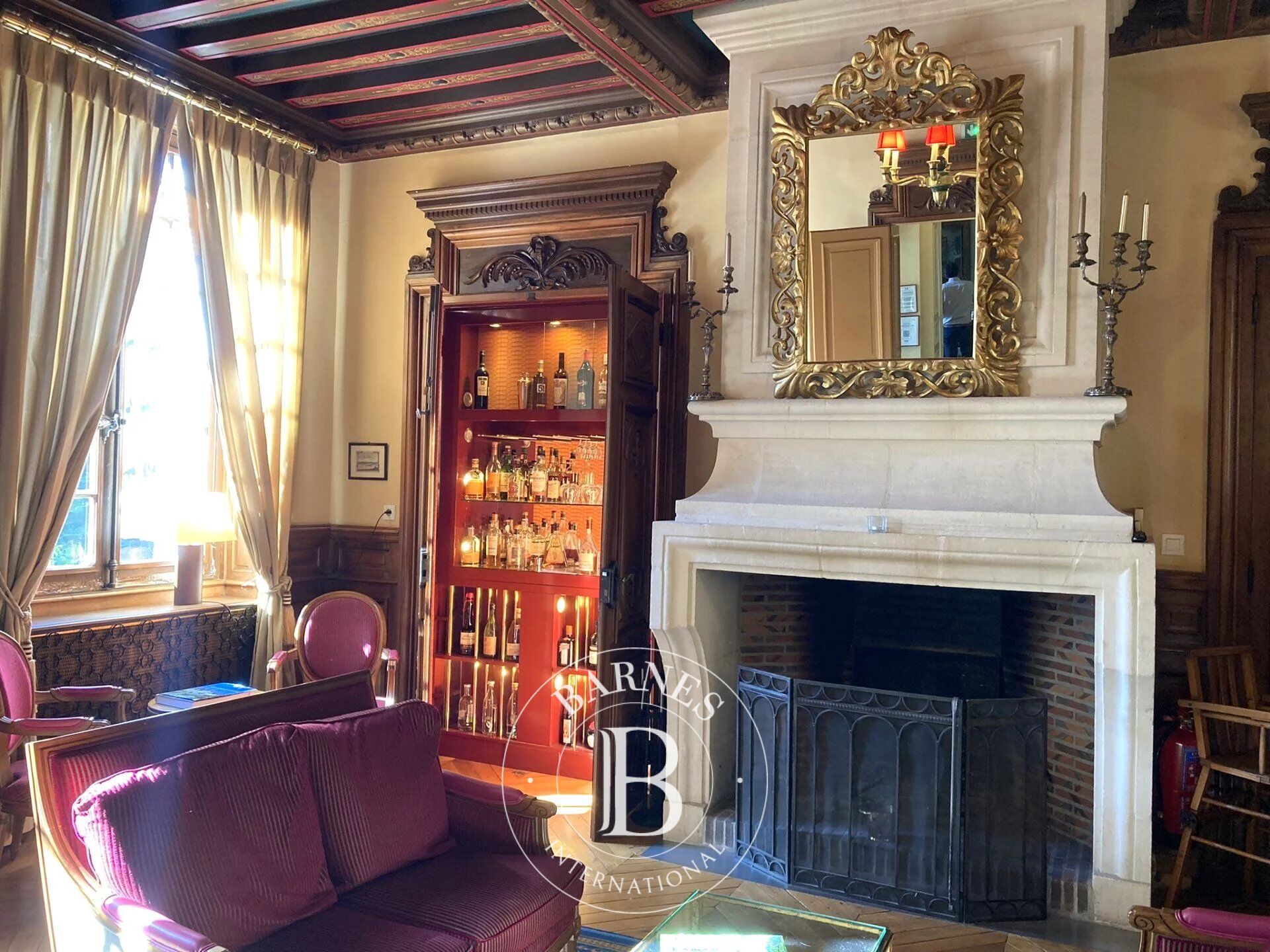 Zu verkaufen, Schloß Contres - picture 4