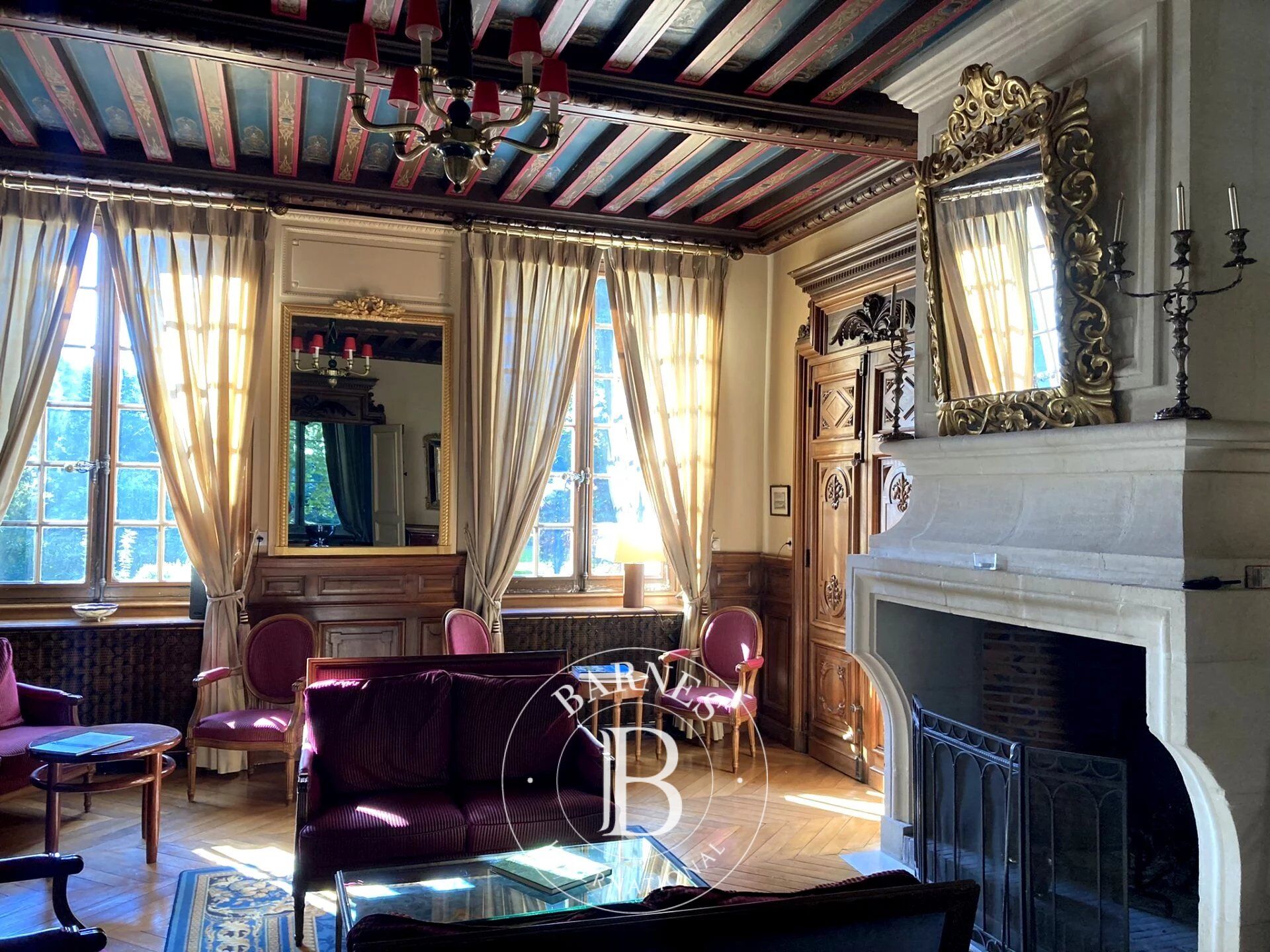 Zu verkaufen, Schloß Contres - picture 5