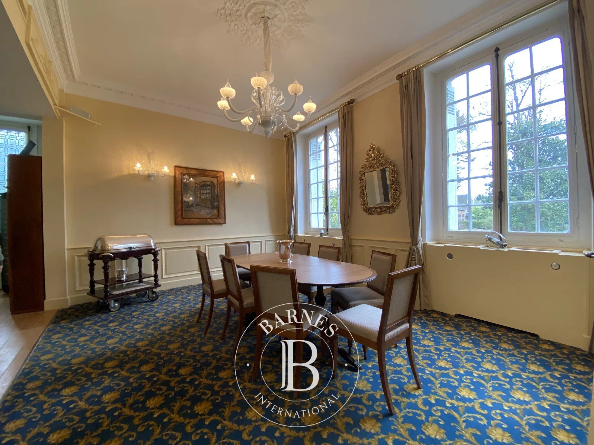 Zu verkaufen, Schloß Contres - picture 8