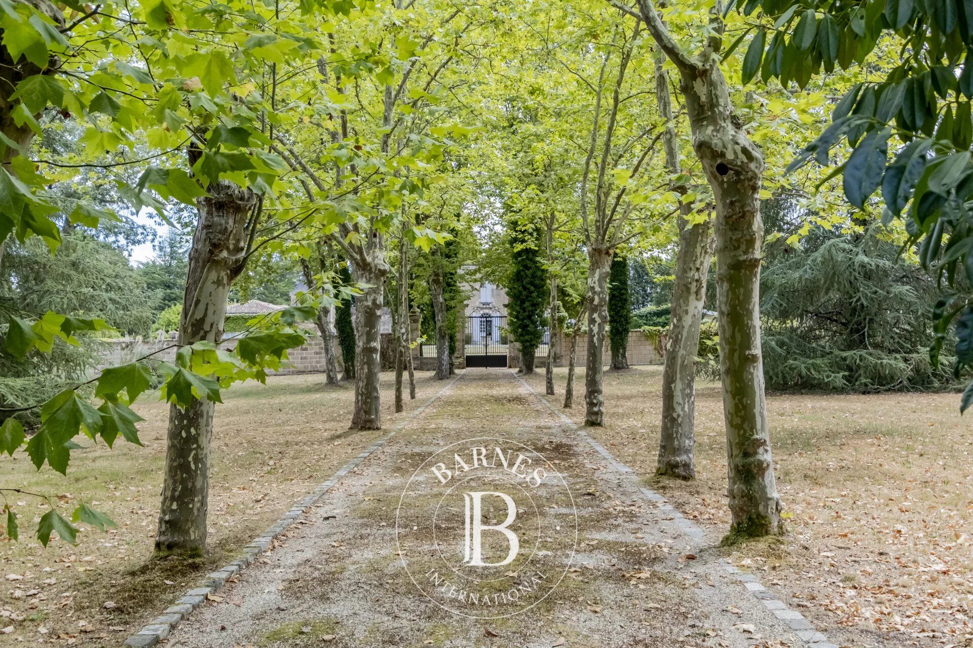 Castello Léognan - picture 3