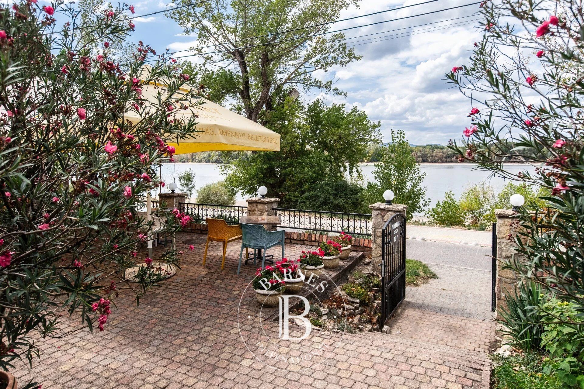 Villa Dunakeszi - picture 3