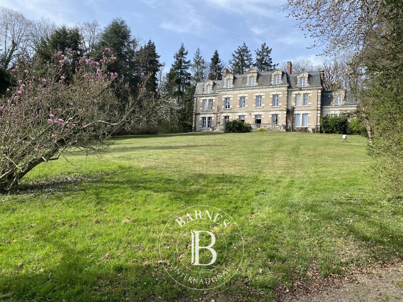 For Sale Castle | Veuves - picture 3