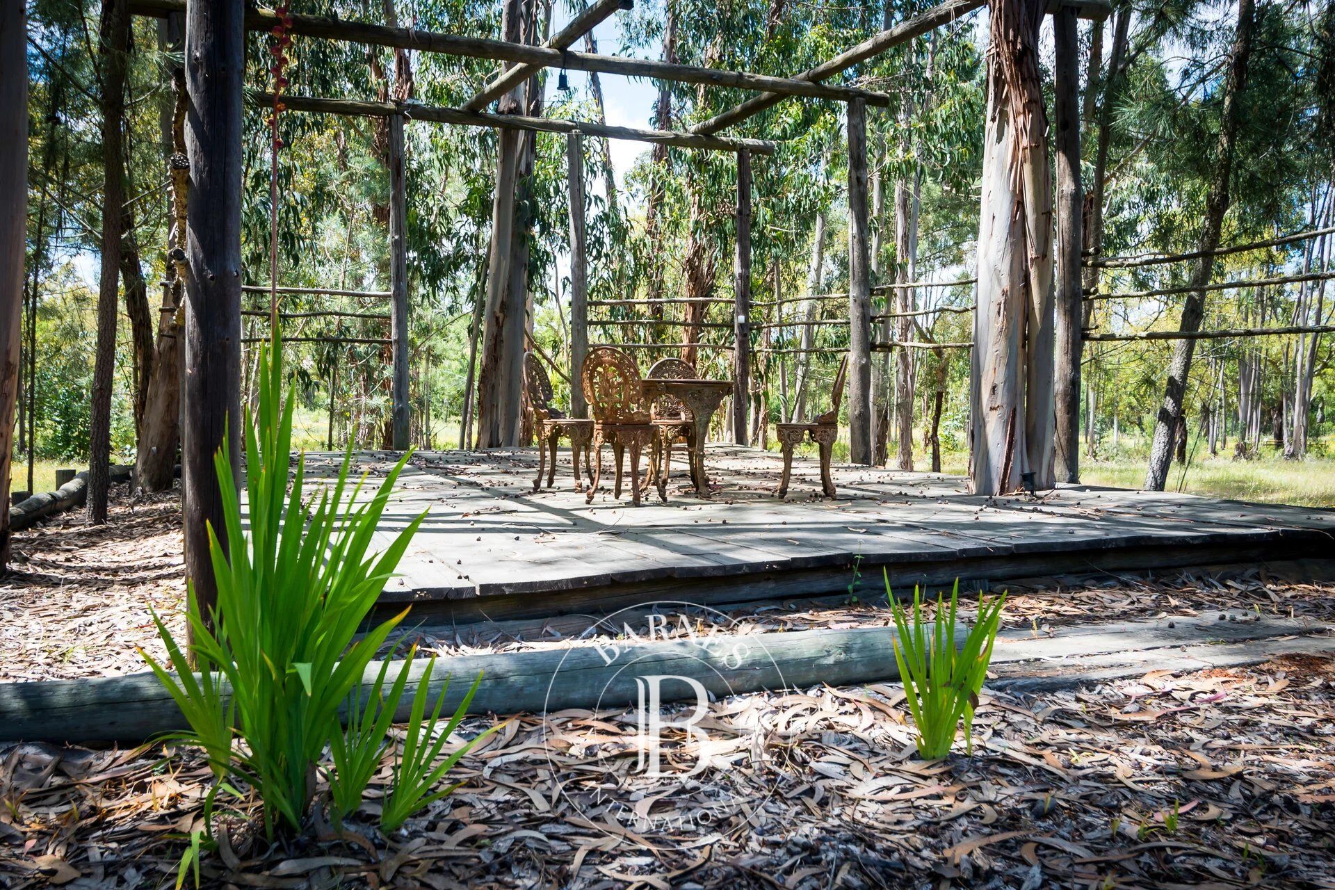 Summer Villa in Comporta - picture 3