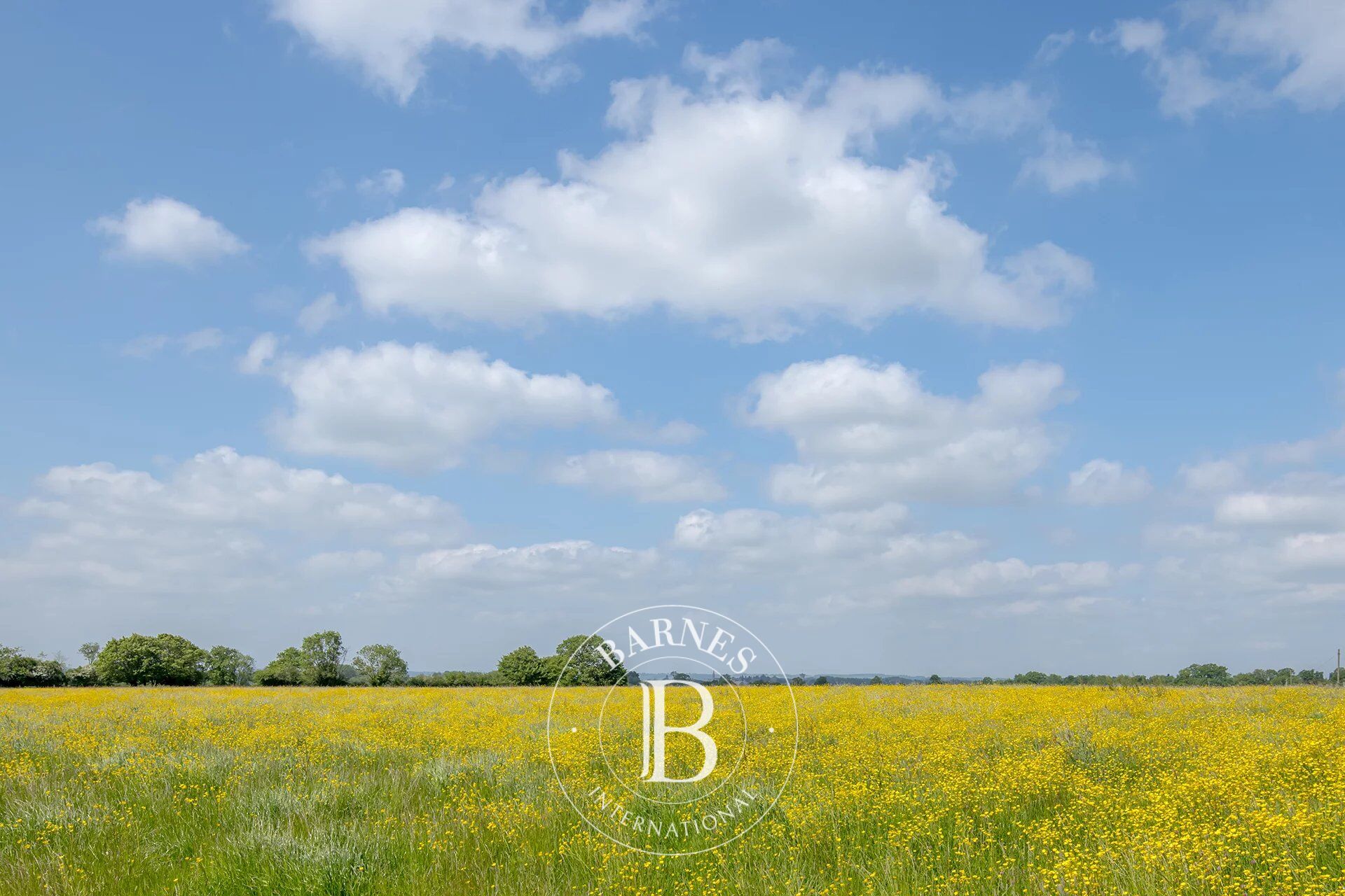 Forges-les-Eaux - Equestrian property and renovated Norman house - 11ha - picture 2