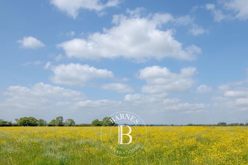 À vendre, Propriété Forges-les-Eaux - picture 2