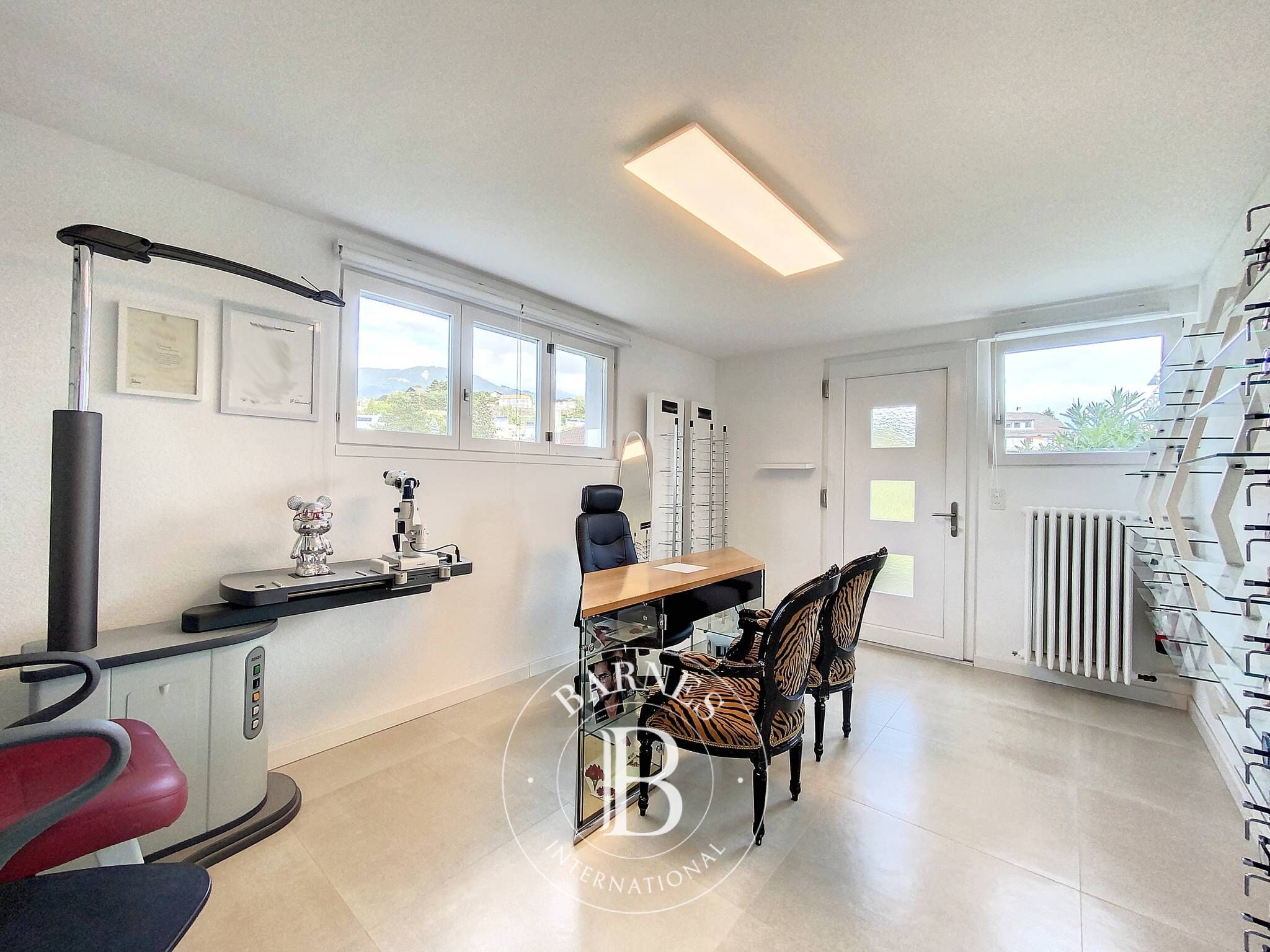 Villa Vevey - picture 16