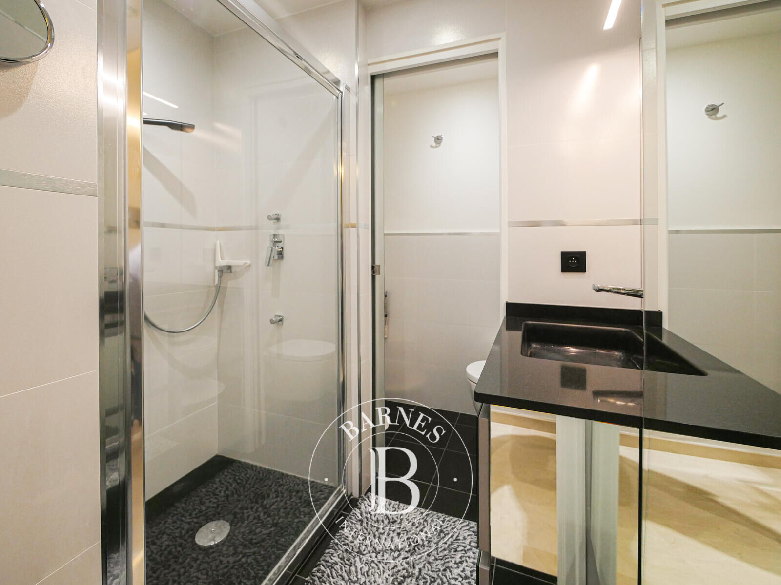 Daire Monaco - picture 5