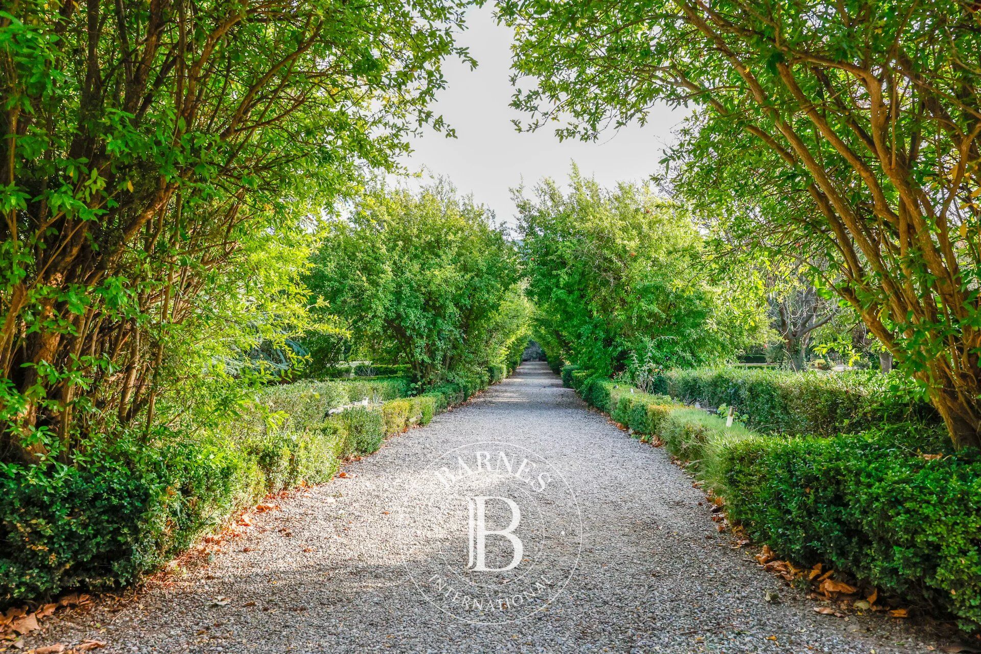 Castillo Floure - picture 2