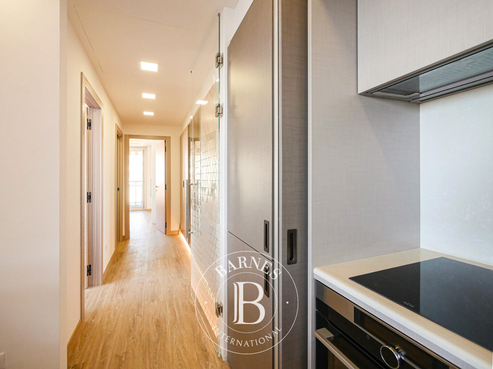 Daire Monaco - picture 5