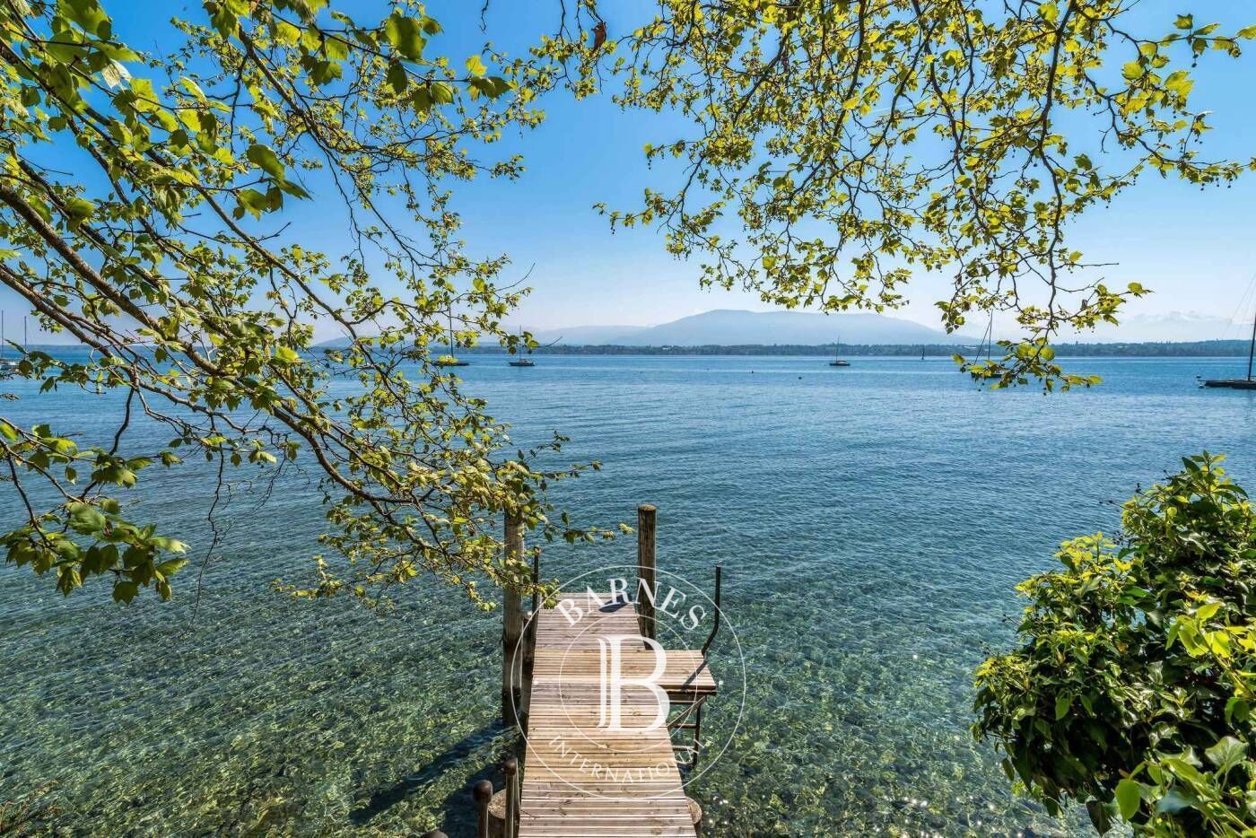 Villa Versoix - picture 1