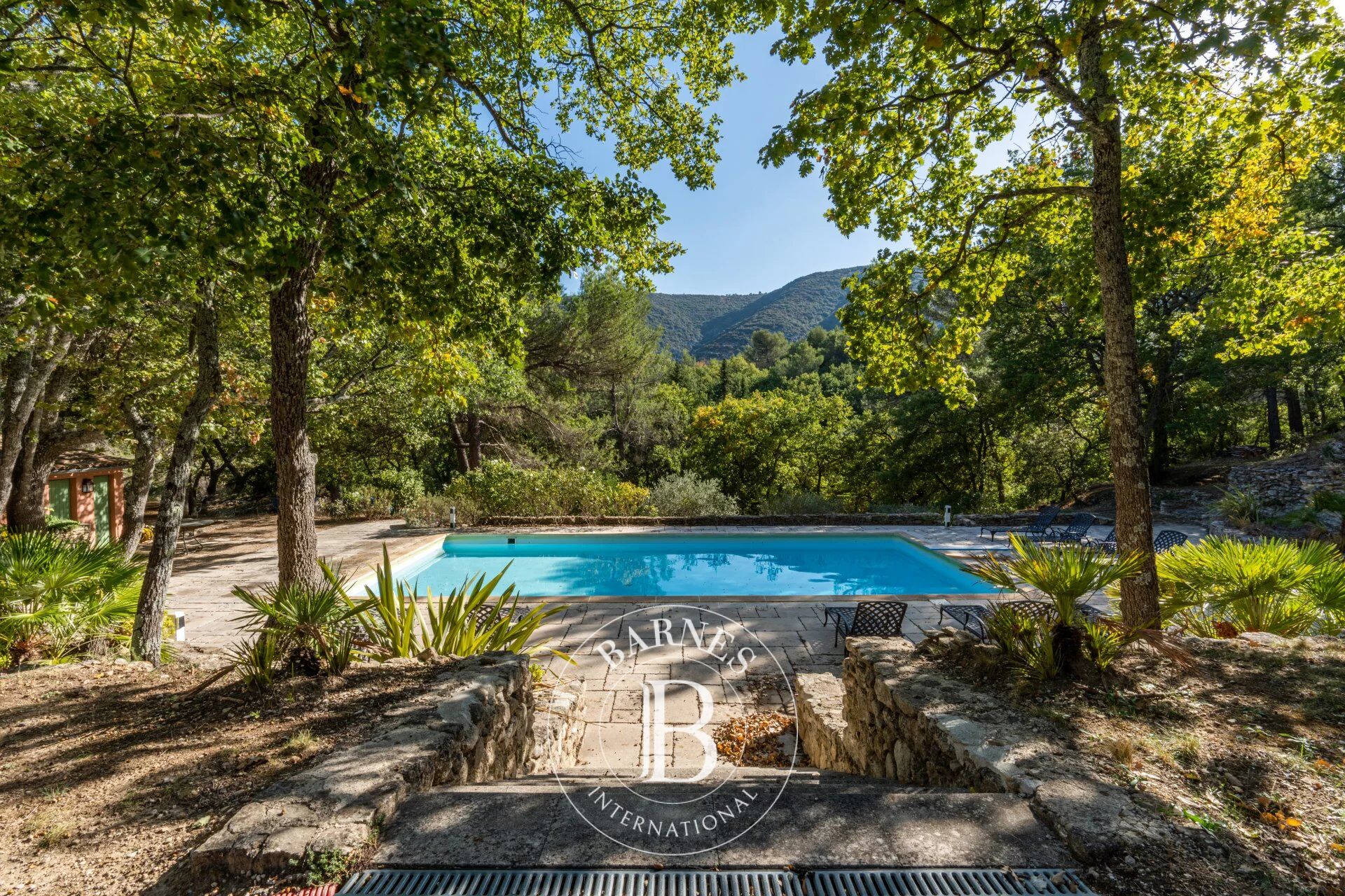 Finca Bonnieux - picture 1