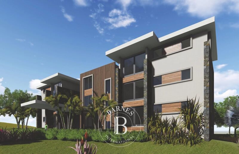 Obra Nueva Moka - picture 2