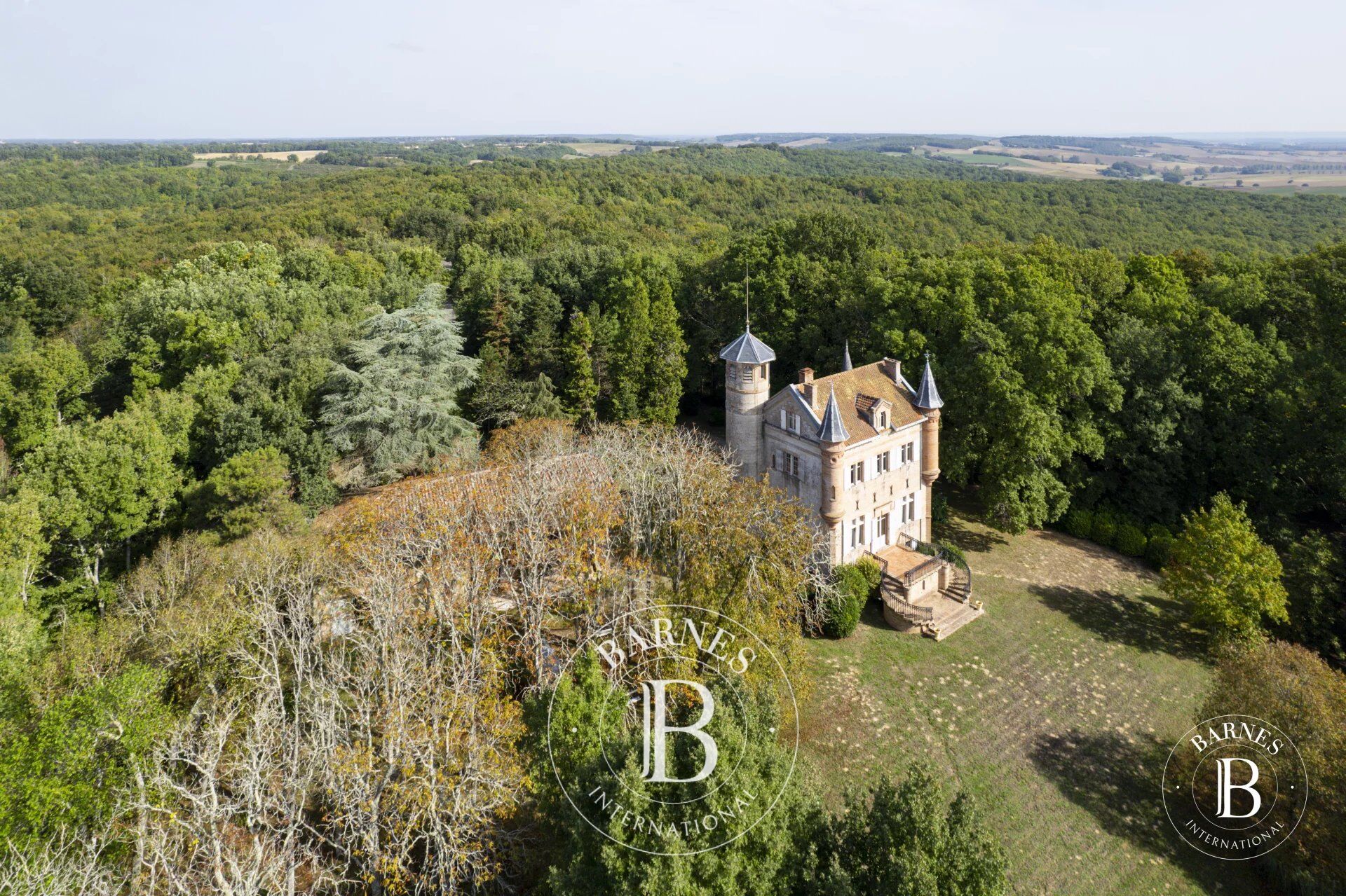 Vendita Castello | Mauvezin - picture 5